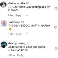 Fans react to Zedd's 2025 Coachella highlights. (Image via Instagram/@zedd)